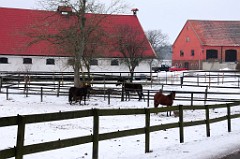 04) 22 Febbraio 2013 - Una passeggiata in inverno  a Svaneholms Slott